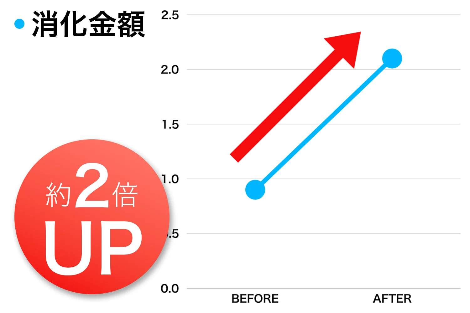 消化金額
